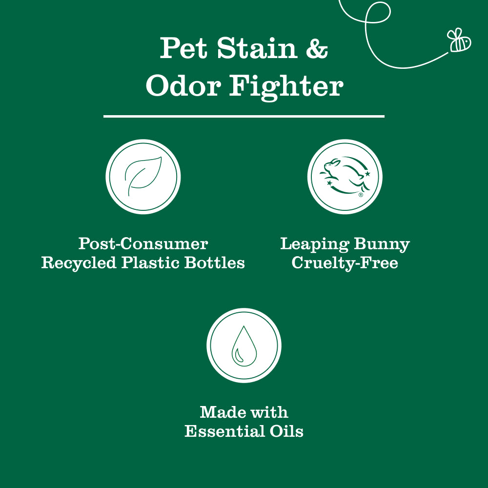 Cat Care Set - Image 10