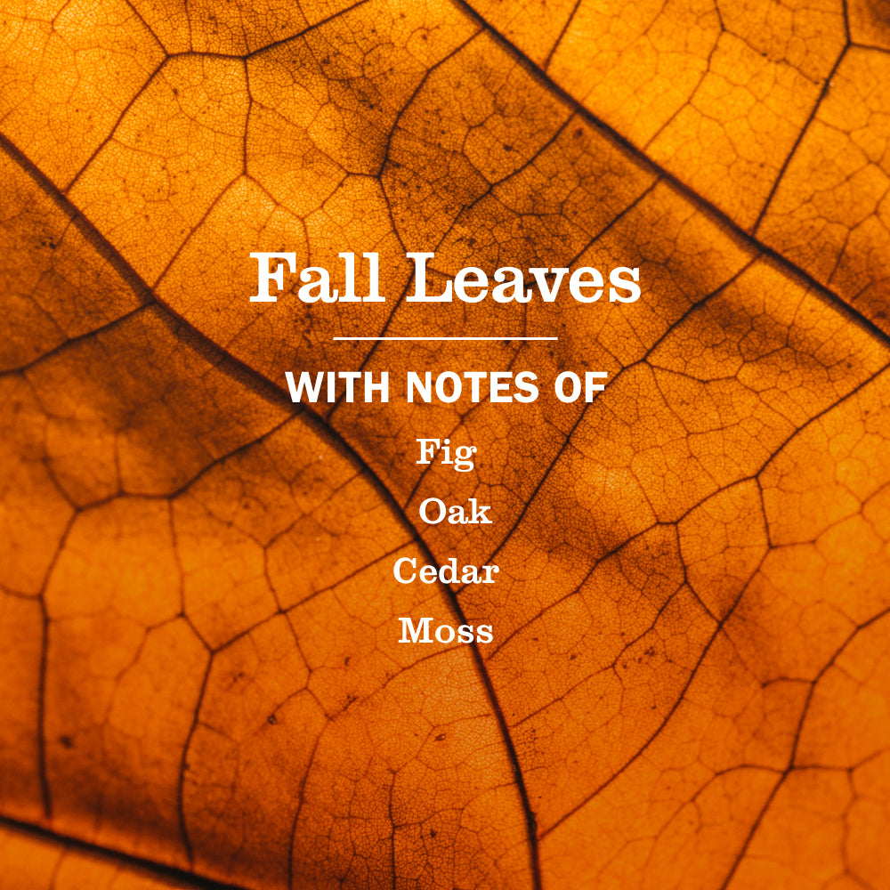 Fall Leaves Plug In Scented Oil Warmer With Refill - Image 5