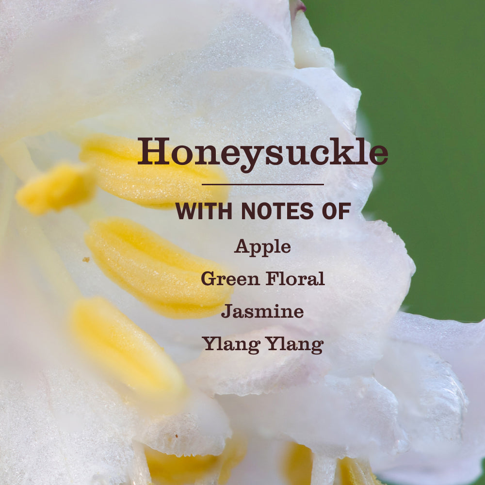 Honeysuckle Scent Booster - Image 3