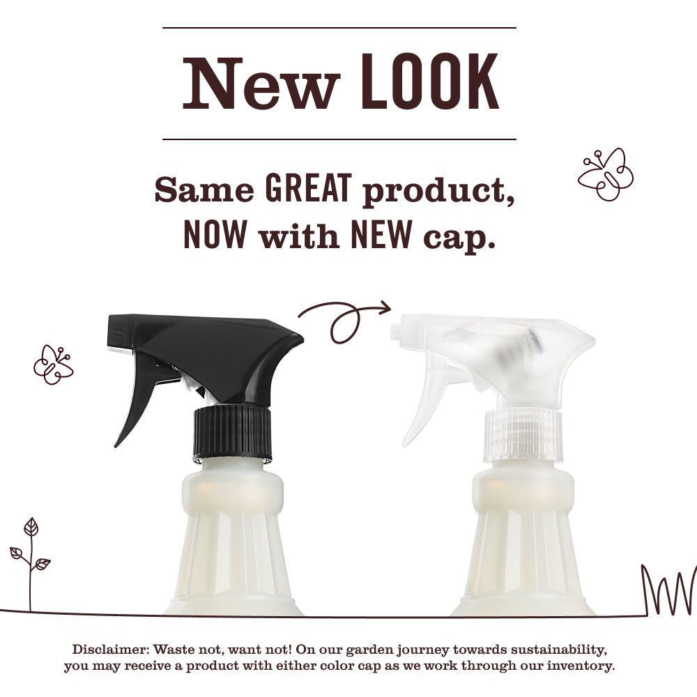Rose Multi-Surface Everyday Cleaner - Image 3