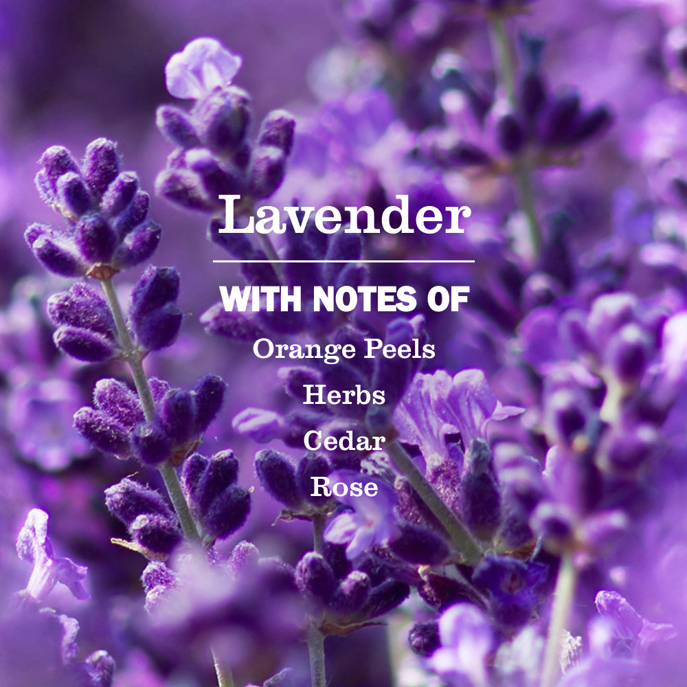 Lavender Soy Candle Large - Image 3